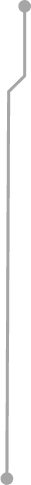 Decorative vector line
